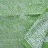 Leaf-green-jaal-chikankari-cotton-lucknowi-suit at Shilphaat.com