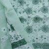 Pastel-mint-green-jaal-chikankari-cotton-lucknowi-suit at shilphaat.com