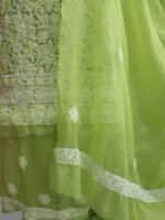 Apple-Green georgette Chikankari ladies suit - Image 2