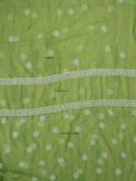 Apple-Green georgette Chikankari ladies suit - Image 4