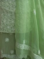 Banana Green Mukaish Chikankari chiffon suit - Image 3