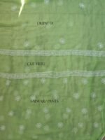 Banana Green Mukaish Chikankari chiffon suit - Image 5
