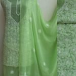 Banana Green Mukaish Chikankari chiffon suit