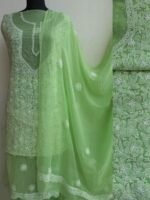 Banana Green Mukaish Chikankari chiffon suit