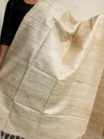 Beige Ghicha Tussar Silk Dupatta