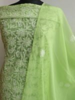 Dhani-Green resham Chikankari suit - Image 2
