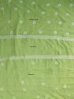 Dhani-Green resham Chikankari suit - Image 5