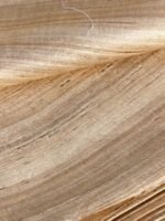 Ghicha Tussar Silk fabric - Image 3