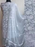 Light Gray Resham Chikankari Georgette Suit