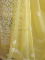 Light-Yellow Resham Chikankari Georgette suit - Image 2