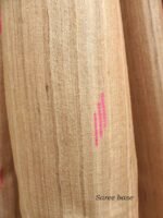 Pink eri silk palla, Beige katiya-Tussar-silk Sari - Image 4