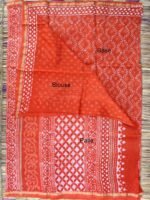 Rust-Orange Bagru printed Chanderi Sari - Image 2