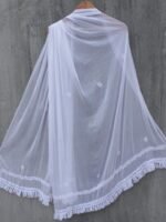 White Chikankari lace Chiffon Dupatta