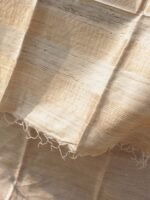 Zari-work, Undyed, pure Desi Tussar silk Saree - Image 5