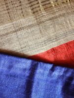 Beige Palla, Blue Bhagalpuri Dupion Silk Sari - Image 4