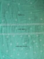 Jadeite Green Georgette Chikankari suit - Image 4