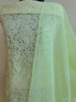 Mindaro-Yellow Georgette Chikankari Dress-material - Image 2