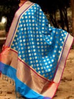 Loom woven Asharfi motif Blue Banarasi Dupatta