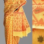Red and yellow Sari